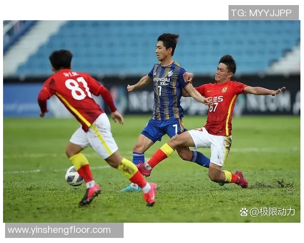 广州排球队技术争议引发热议球迷与专家各抒己见探讨未来发展方向